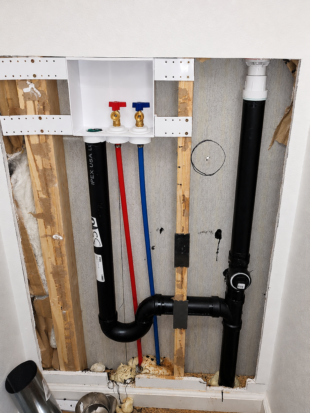New washing machine outlet box with red and blue PEX supply lines, brass valves, and ABS drain and vent piping in an open wall.